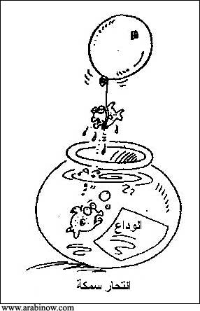 viri viri viri matsh